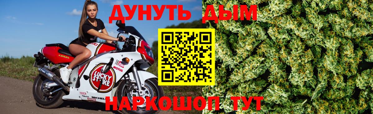 Марихуана гибрид Тавда